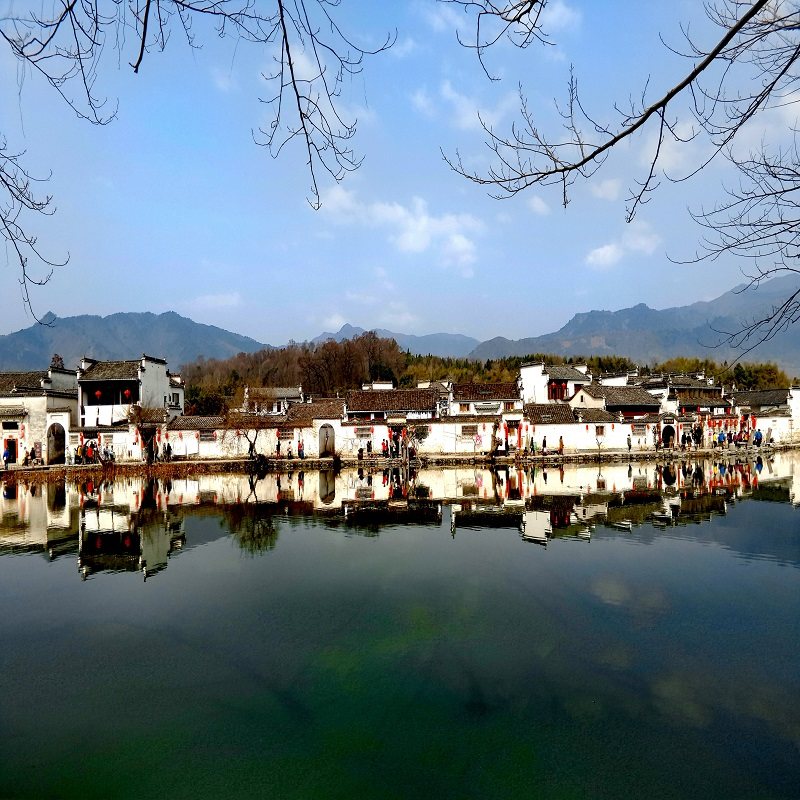【黄山北站接 纯玩】宏村+婺源篁岭+新安江+徽州古城+黄山4日游
