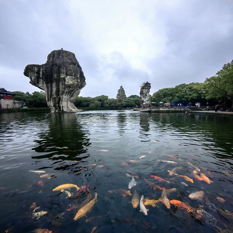 南京出发杭州散团(纯玩)苏州+周庄+绍兴鲁迅故里3天2晚跟团游