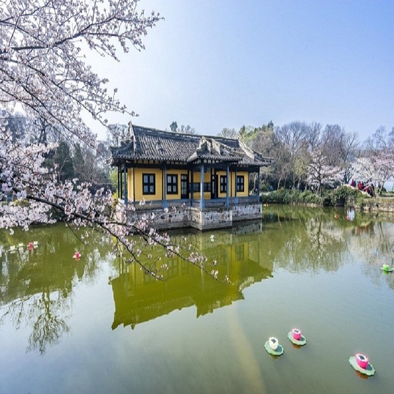 杭州出发【纯玩】杭州+千岛湖+无锡+苏州4天3晚跟团游
