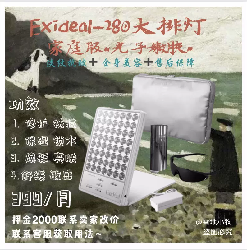 出租】Exideal LED美容机EX-280祛痘美白美容仪器-Taobao