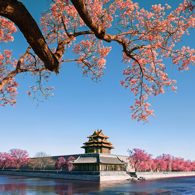 春节北京旅游4日游4天3晚游故宫长城父母4日游亲子北京四日跟团游