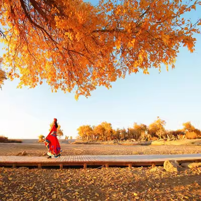 内蒙古额济纳旗胡杨林 库布齐沙漠 居延海 黑城遗址5天4晚私家团