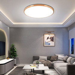 American Taiwan 110V Simple Nordic Style Household Ceiling Light for Living Room, Balcony, and Hallway, Led Ultra-Thin Round Mosquito-Proof