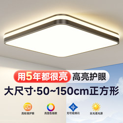 Living Room Main Light 2026 New Model Eye-Protecting Ceiling Light Simple Modern Elegant Led Minimalist Bedroom Light Zhongshan Lighting Fixtures
