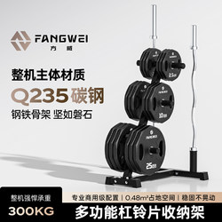 Fangwei Barbell Plate Storage Rack Vertical Commercial and Home Use Rack Gym Equipment Rack with Large Holes