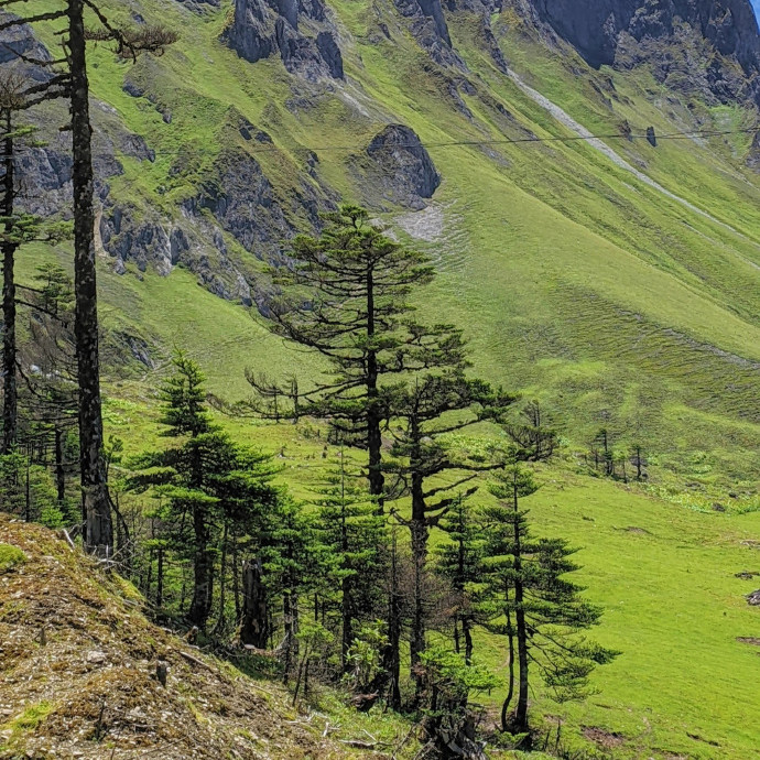 2-14人彩林盛宴·滇西北8日/怒江-香格里拉-无底湖-白水台-独龙江