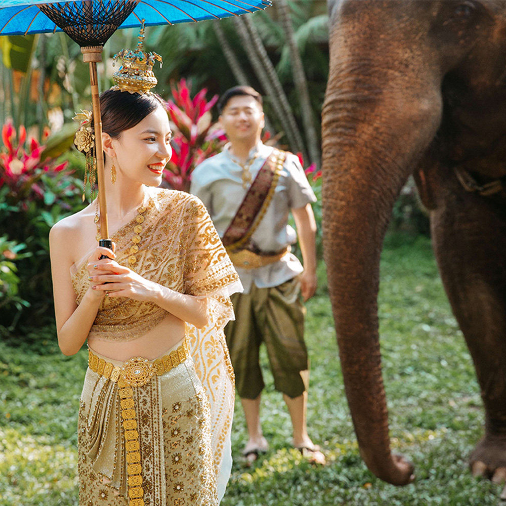 西双版纳双地标一日游|野象谷奇遇 + 植物园探秘 拒绝折腾