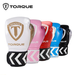 torque children's Sanda fighting fitness