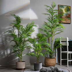 Artificial Green Plant, Fake Flower, Indoor Palm Tree, Needle Palm, Artificial Plant, Palm Tree, Fake Tree, Decorative Ornament
