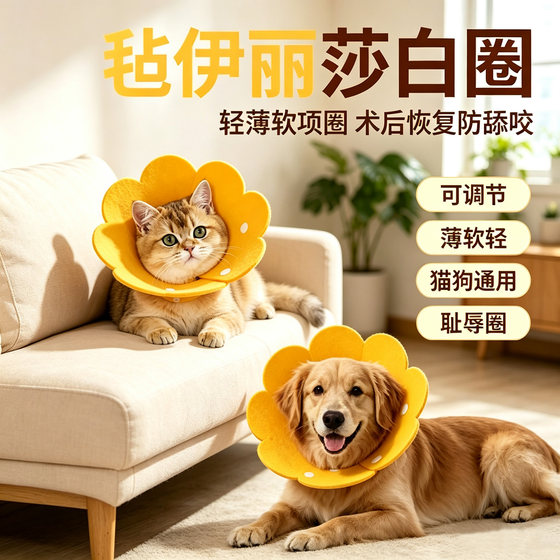 Elizabeth Circle Cat's Nutrition Circle Elisha White Circle Anti -Licking Neck Circle Head Handle Dog Circle Pet Products