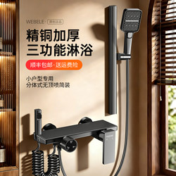 Solid Brass Topless Shower Head Set for Home Bathroom, Separate Storage Unit, Complete Bathing Set