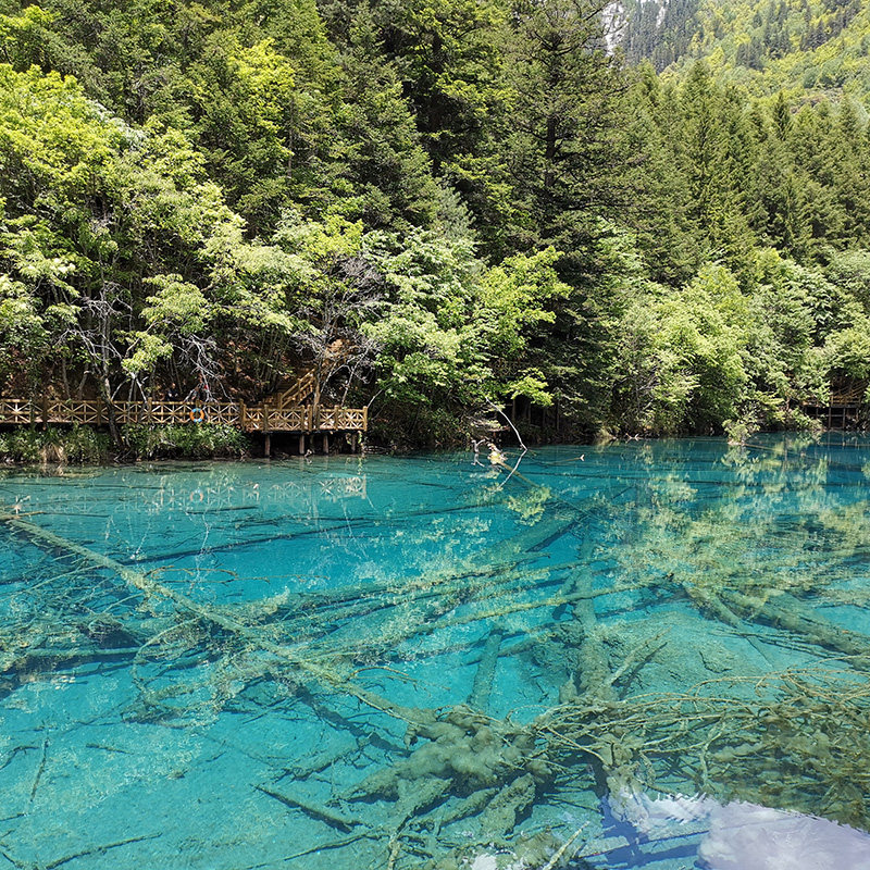 松潘高铁站到九寨沟黄龙直通车商务车拼车可选回程九寨沟电子地图
