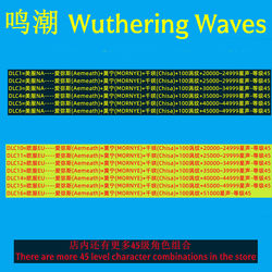 Wuthering Waves International Server Global Aemeath Chisa Mo Ning
