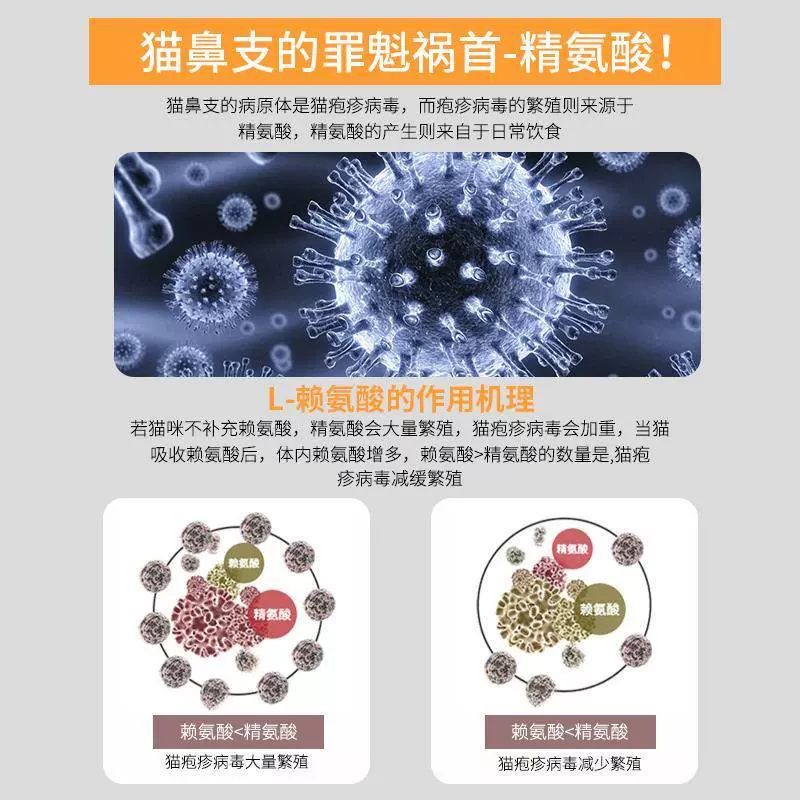 酸猫用赖酸素氨冒牛磺猫咳咪维生b族