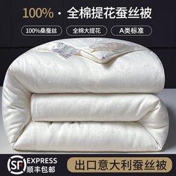 Imported Italian Silk Quilt 100% Mulberry Silk Spring and Autumn Quilt Core Cotton Quilt Air Conditioning Quilt Winter Thickened Quilt Winter Quilt