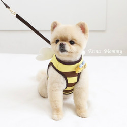 Bee dog chest strap cute cartoon
