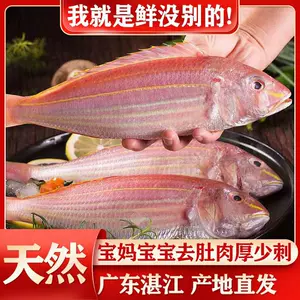 Gefischtter 3 件組 鹹水 垂直 釣魚 夾具 金屬 跳勺 速度 快速 深海 跳具 魚餌 發光鉛 帶輔助鉤 適用於鮪魚 低音 狗 齒 石斑魚  4.5 盎司 / 5.5 盎司 / 5.5 盎司 / 5.5 盎司 / 5.5 盎司 (約 159.9 克)