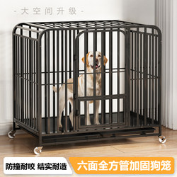 Dog Cage for Medium-Sized Dogs and Large Dogs, Household Pet Cage, Indoor with Separate Toilet, Golden Retriever Labrador Dog Cage