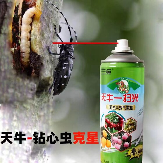 
Special insecticide for longhorn beetles, fruit tree clam borer, kill borer larvae, tree insecticide, remove wood furniture borer