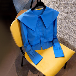 Blue Collared Shirt for Women, Early Spring, Unique, Beautiful, Super Stylish Top for Women, 2026 New Design, Niche Shirt