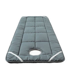 German Imported Beauty Bed with Thick Mattress, Massage Bed Therapy Mattress, Non-Slip Thickened Mattress for Beauty Salon