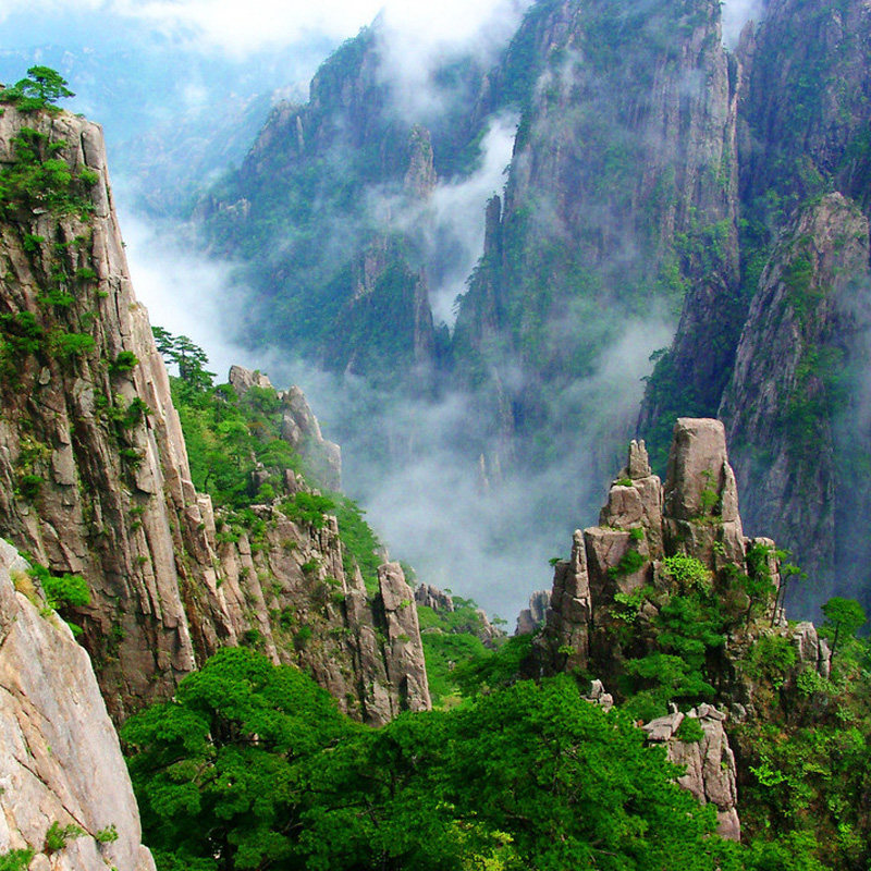 成都出发高铁往返 | 黄山+宏村+西递 | 4天3晚跟团游/连住不挪窝