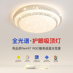 2025 New Led Ceiling Light for Room, Bedroom, Living Room, Hall, Modern Simple and Elegant Zhongshan Lighting Fixtures