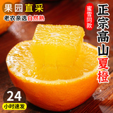 誉福园【5斤】高山脐橙大果甜橙子  券后9.9元包邮