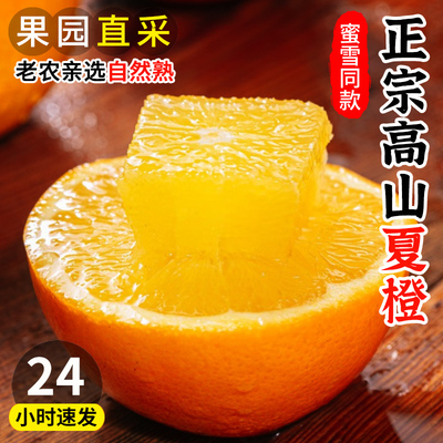 新鲜3/5/9酸甜可口榨汁秭归夏橙