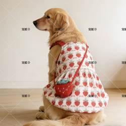 Summer Pet Dog Clothes, Dog Suspender Skirt, Labrador Samoyed Golden Retriever Medium and Large Dog Princess Skirt