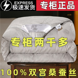 Mercury Home Textiles Quilt 100% Mulberry Silk Quilt Summer Cooling Quilt Air Conditioning Quilt Spring and Autumn Quilt Winter Quilt Two-In-One Quilt Core