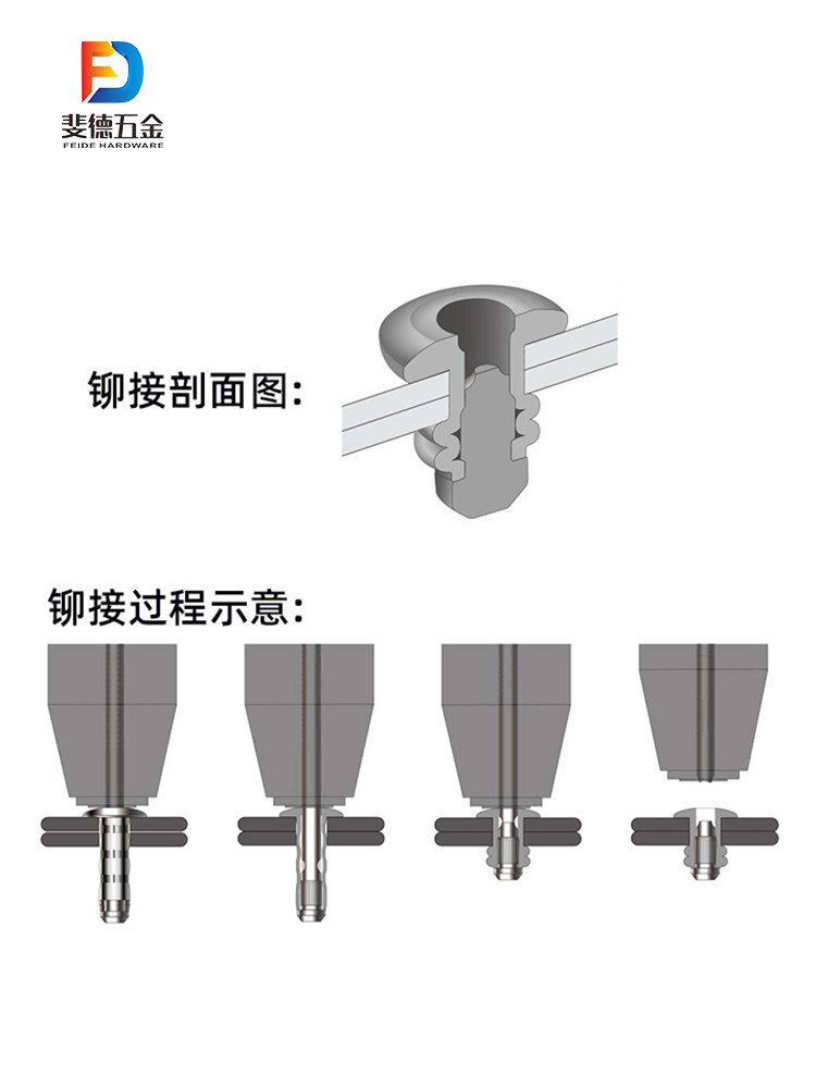 100 Schede Rigate Edipro - Formato 15x21 Cm, Colore Verde, Alta Qualit&agrave;