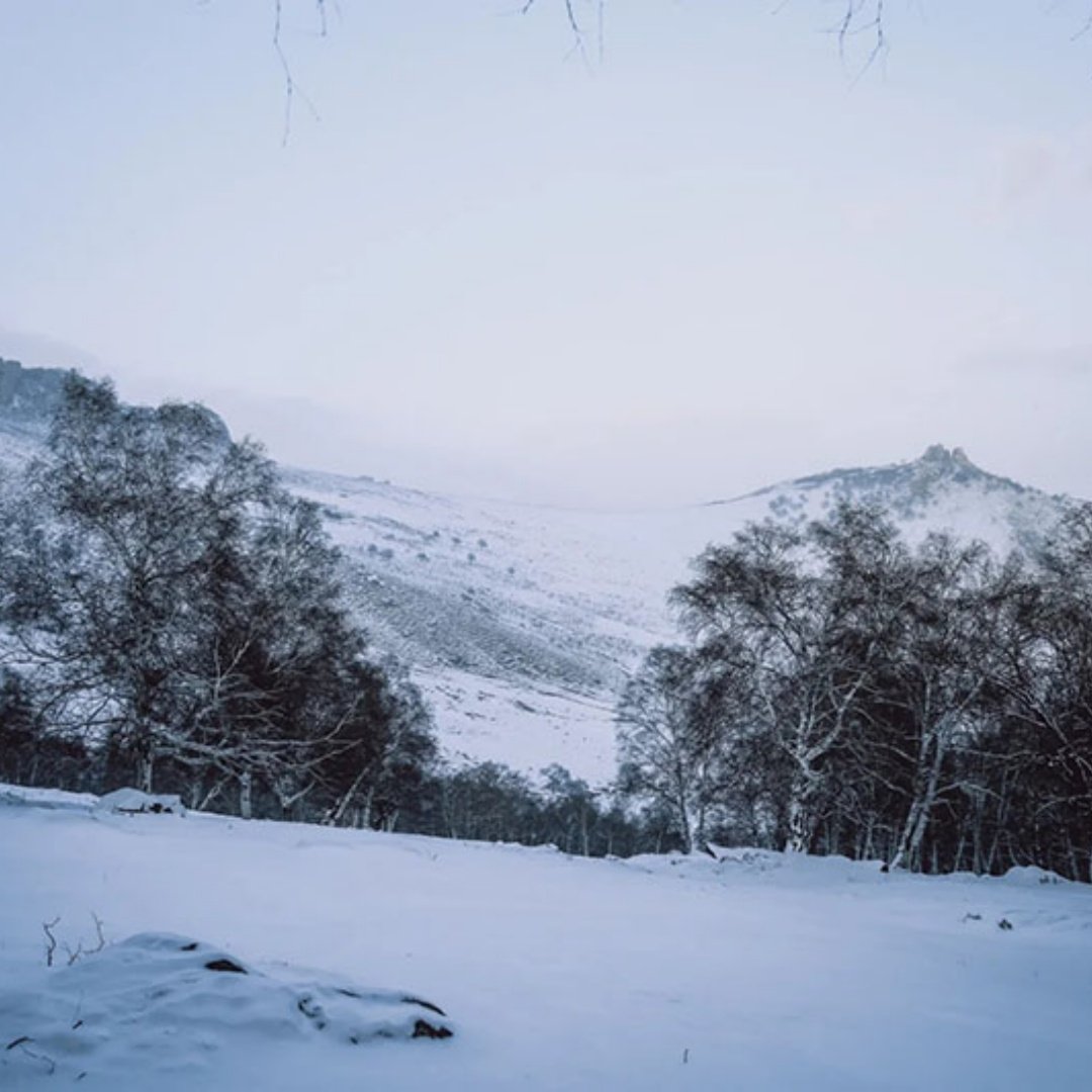 元旦赤峰3日游破冰达里湖 徒步穿越大青山 漫步美林谷 雾凇幻境