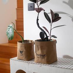 ins Kraft Paper Bags, Green Plant Flower Pots, Thickened Kitchen Packaging Bags, Refrigerator Fruit and Vegetable Storage Bags, Desktop Organization, Camping