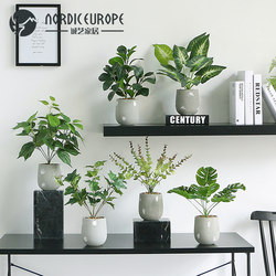 Chengyi Creative Nordic Artificial Green Plant Potted Ornament Living Room Artificial Flower Fake Flower Bionic Bonsai Decoration