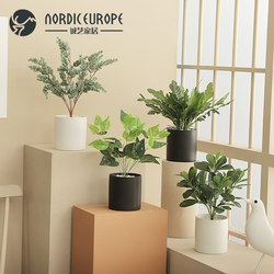 Chengyi Nordic Modern Clay Pot Fake Potted Plant Ornaments Home Living Room Interior Decoration Simulated Plant Decoration Green Plants
