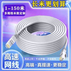Network Cable Gigabit 100m for Home Use High-Speed 5m /10, 20, 100 - High-Speed Computer Category 6A Network Cable