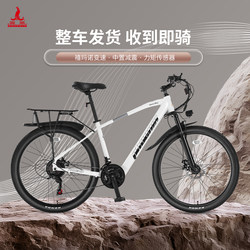 Phoenix F9 | Lithium Electric Power Assisted Bicycle Light Work Clothing New National Standard Lithium Electric Car Men's and Women's Battery Bicycle