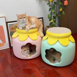 Honeycomb-Shaped Cat House with Two Layers, Suitable for All Seasons, Semi-Enclosed Villa-Style for a Sense of Security, Summer Cat Climbing Frame, Human-Pet Stool