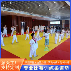 Judo Mat, Professional Competition Training Mat, Wrestling, Sanda, Taekwondo, Fighting Tatami, Jiu-Jitsu Training Mat
