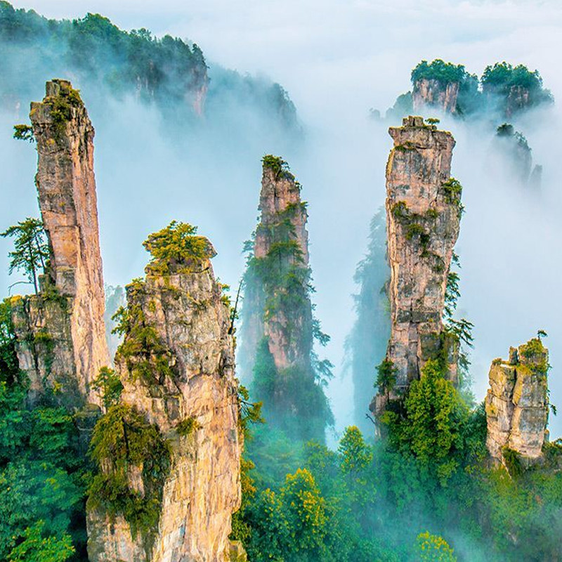 【购物退全款】张家界国家森林公园1日游武陵源风景名胜区16人团