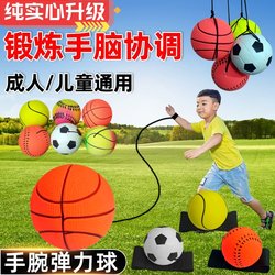 Children's Hand-Thrown Rebound Ball to Exercise Reaction Ability, Relieve Boredom for the Elderly, Wrist Elastic Solid Ball with Rope, Rubber Swing Ball