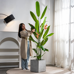 Large Artificial Bird of Paradise Plant, High-End Luxury Decoration, Indoor Bionic Green Plant, Fake Tree, Strelitzia, Landscaping Decoration