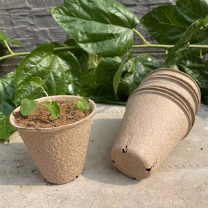 Pluffs Nursery Cup Nutrition Basin to degrade the seedlings of the seedlings.