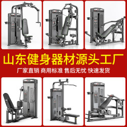 Gym Equipment Complete Set of Commercial Fitness Equipment Butterfly Machine High Pull Chest Push Shoulder Pull Back Strength Training Equipment