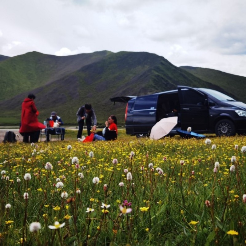 天水甘南8天麦积山莲宝叶则官鹅沟郎木寺扎尕那若尔盖夏河大峪沟