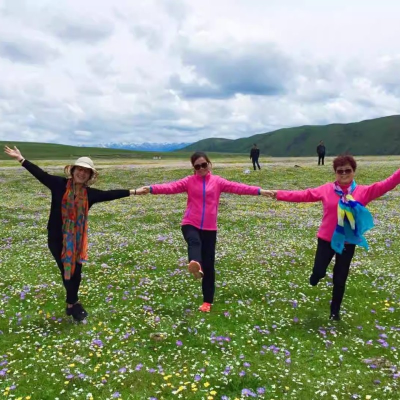 小团天水甘南8天莲宝叶则官鹅沟扎尕那郎木寺若尔盖卓尼麦积夏河