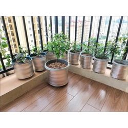 Flower Pot Sunscreen Insulation Film Self-Adhesive Insulation Film Adhesive Foam Box Bag Rose Plant Material Fruit Packaging Paper