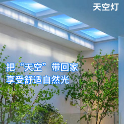 Blue Sky Light, Clear Sky Light, Office Recessed Flat Panel Light, Kitchen and Bathroom Integrated Ceiling Led Light, Sunlight Imitation Light