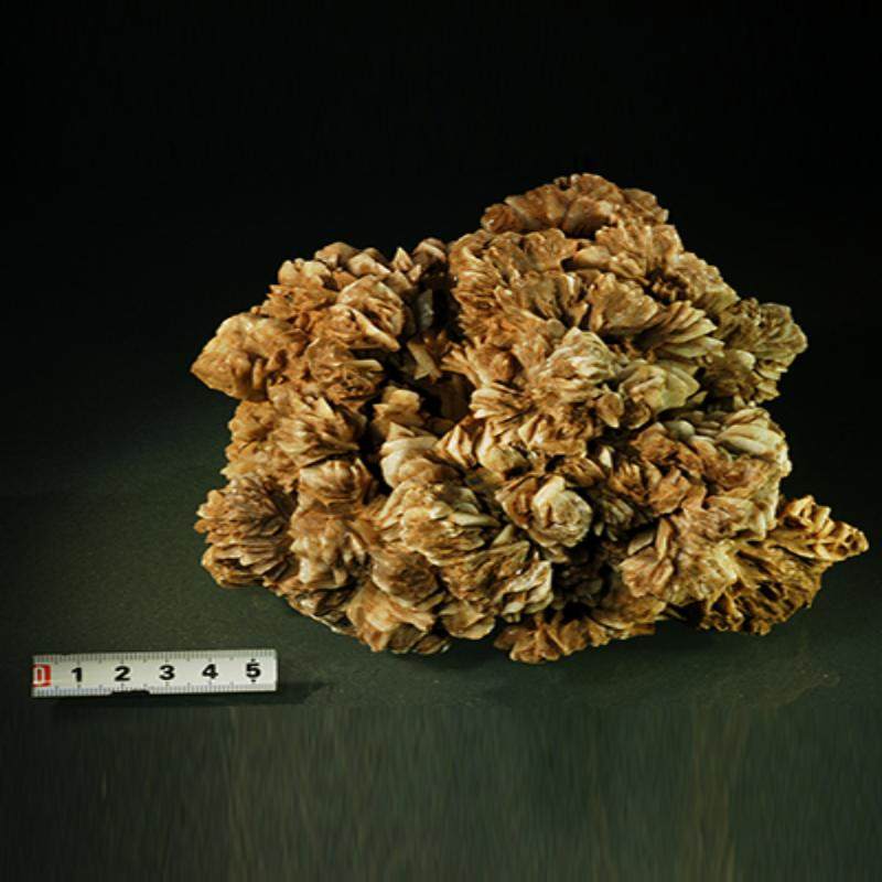 中国地质博物馆【私家1对1不拼团】导游深度2H讲解跟团一日游